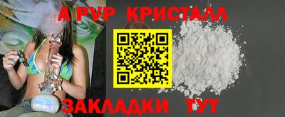 шишки Бузулук